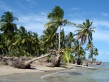 O mar devastando coqueirais