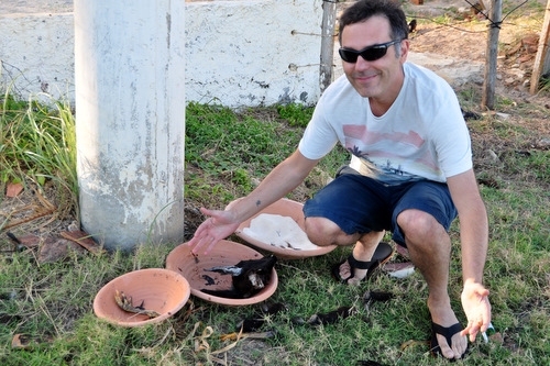 Imagem
